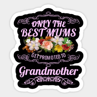 Only The Best Mums Get Promoted To Grandmother Gift Sticker